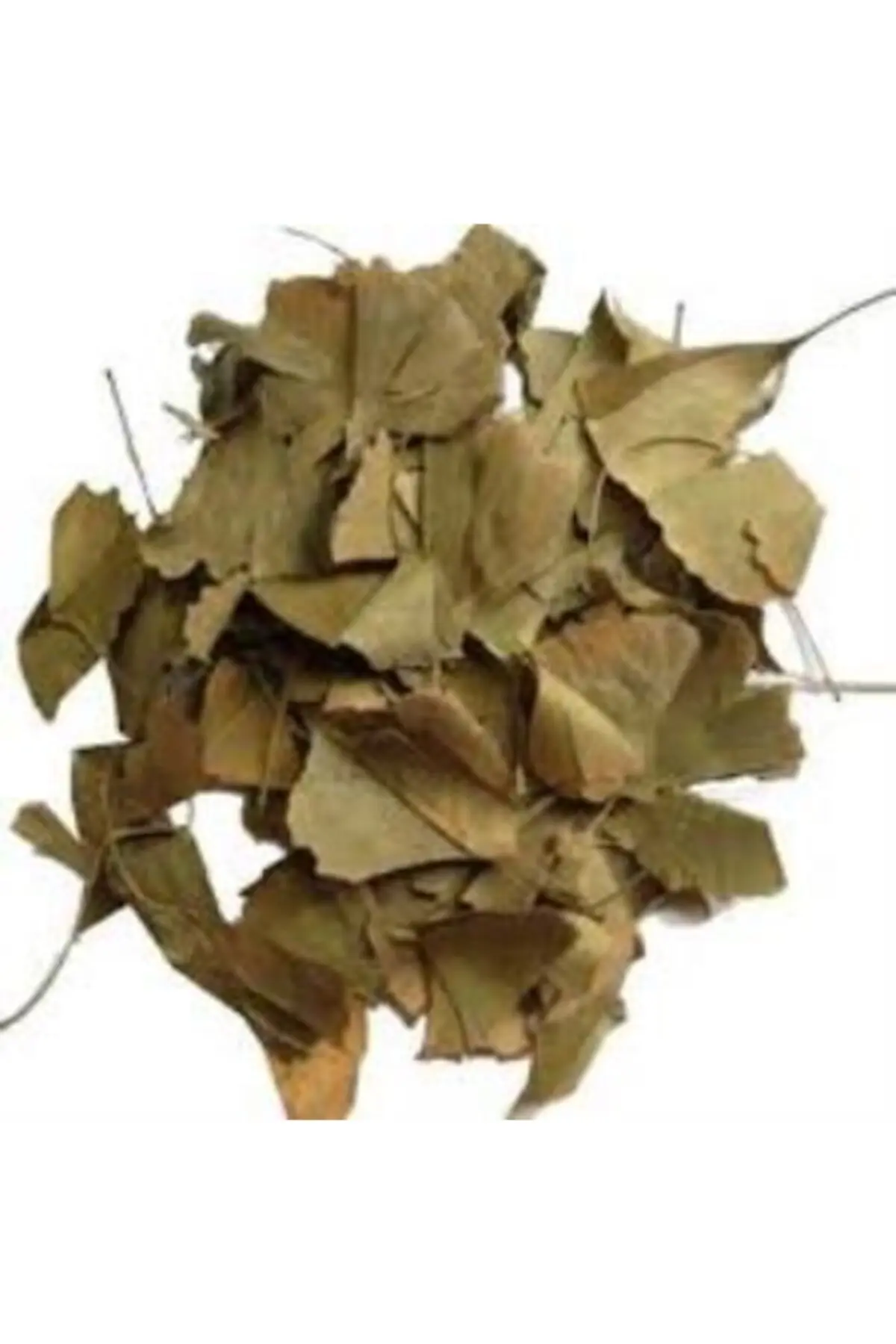 MSR GİNKGO BİLOBA YAPRAĞI PAKET 30 GR