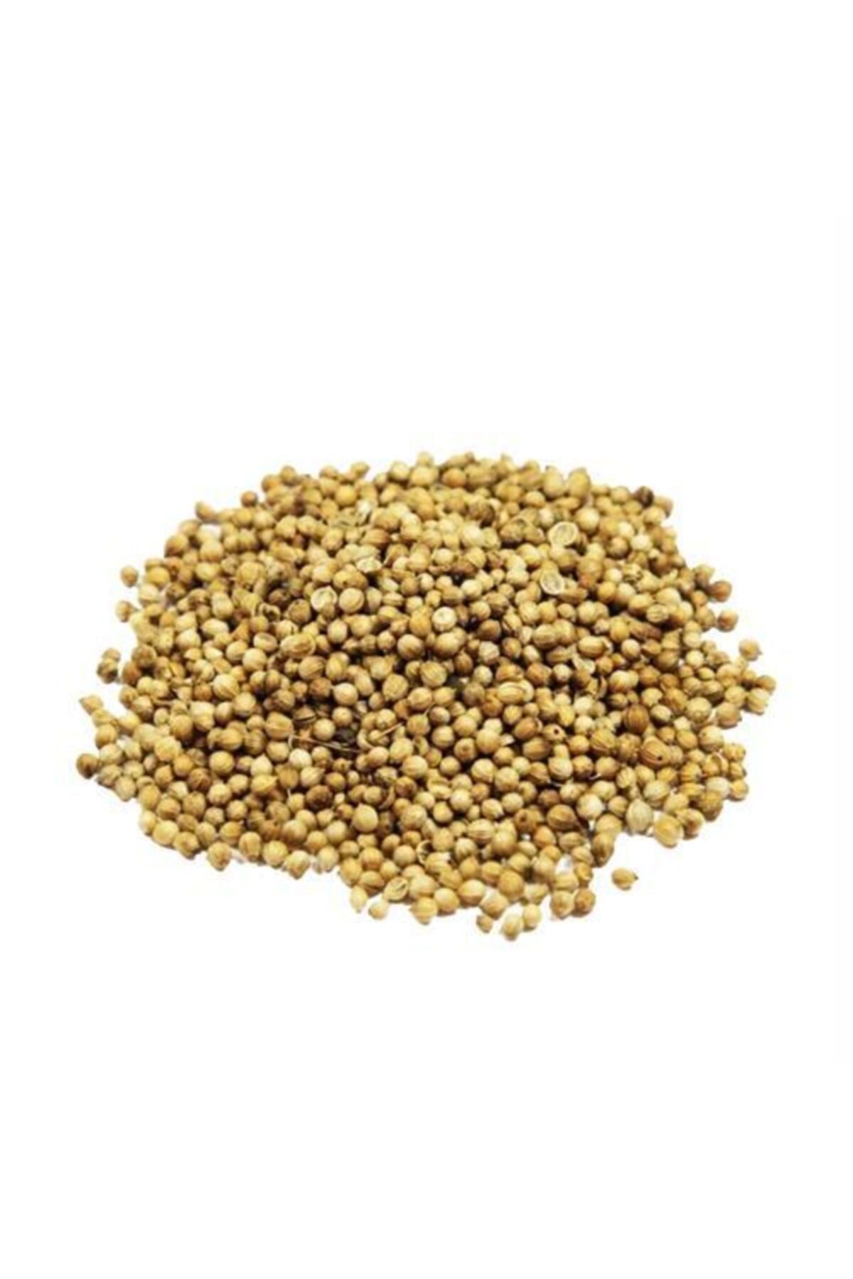 MSR KİŞNİŞ TANE PAKET 100 GR